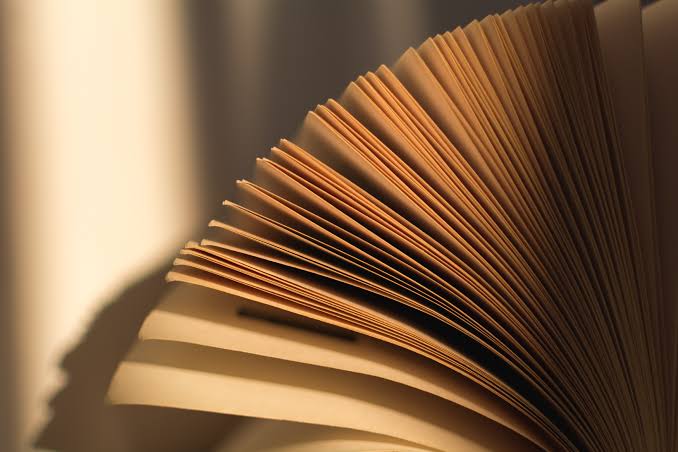 Background Bookvalent Section